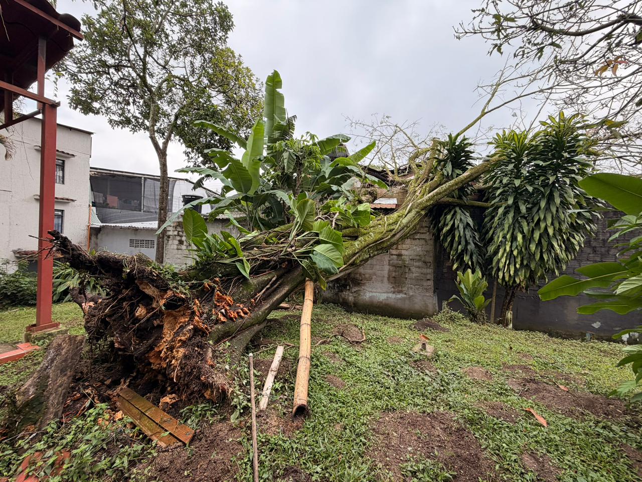 Bomberos atendieron 20 emergencias durante la Semana Santa en Ibagué 5