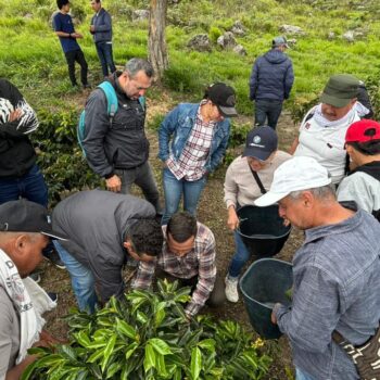 Alpujarra lidera ofensiva regional para cerrar el paso a la criminalidad 11