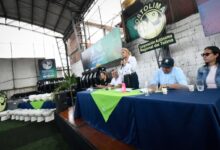 Directora de Cortolima rechaza atentado en Cauca y alerta por riesgos a funcionarios ambientales en el país 16