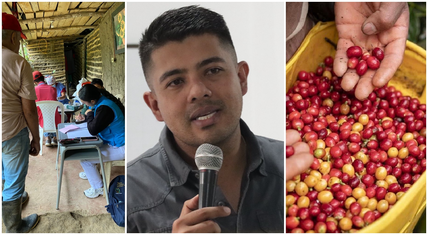 Planadas se prepara para cosecha cafetera con controles por fiebre amarilla 1