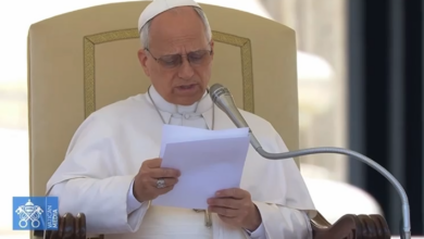 Papa León XIV insta a optar por la paz en Colombia 3