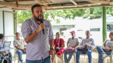 “Tenemos ganado con más de 60 horas sin comer”: alcalde de Lérida pide apoyo aéreo para controlar los incendios 6