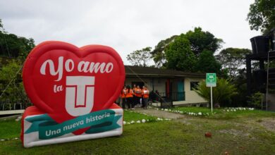 Faltan seis días para que no te quedes sin estudiar en la Universidad del Tolima 24