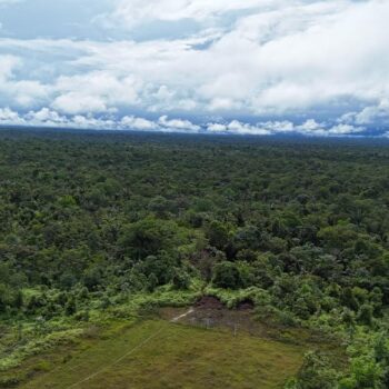 Universidad del Tolima anuncia apertura del primer programa académico en el Bajo Calima 2