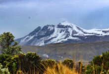 Alcaldesa de Murillo denuncia incumplimiento de fallo de Invías para rutas de evacuación del Nevado del Ruiz 17