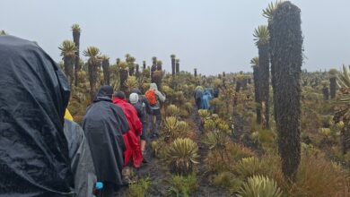 “Tendrá impacto en la economía rural”: gremio del montañismo destaca nueva ordenanza turística en Tolima 25