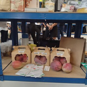 Tolima amplía su apuesta exportadora con café, panela y artesanías en vitrina internacional 3