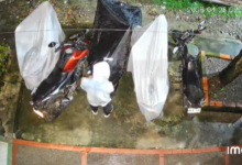 Denuncian que un hombre tendría atemorizado a un barrio de la comuna 8 en Ibagué 20
