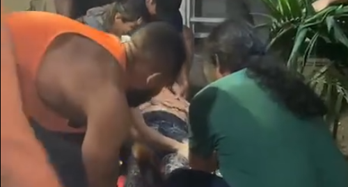 Identifican a mujer que cayó desde un sexto piso en conjunto residencial de Ibagué 1