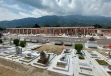 Procuraduría vigila inhumación estatal de cadáveres en el Tolima 17