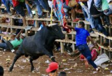 El Espinal le dice adiós a las corralejas: alcalde confirmó que 2026 será el último año 22