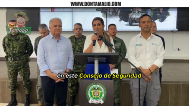 Gobernadora del Tolima anunció tres acciones contra el homicidio, la minería ilegal y para garantizar la seguridad electoral 2