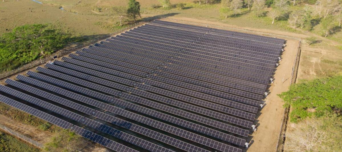 Asamblea del Tolima estudiará proyecto para impulsar minigranja solar en el Líbano 1