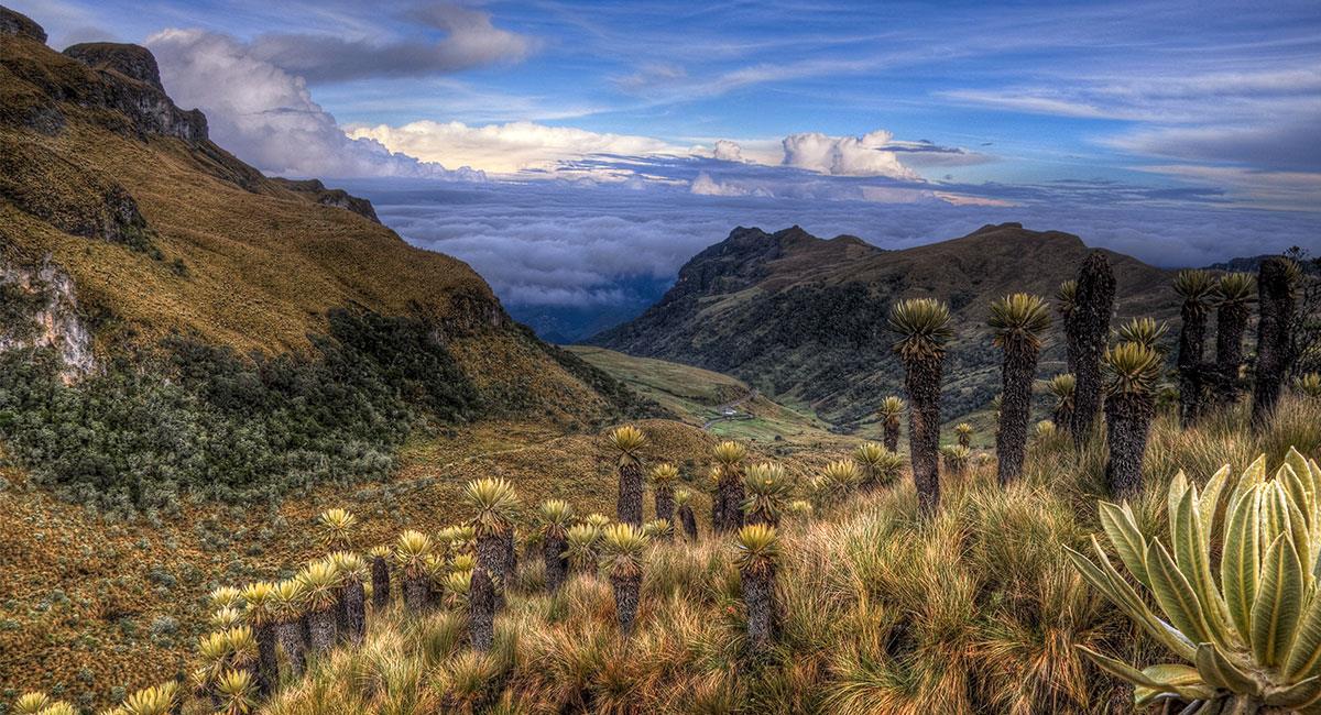 Crece la tensión por el manejo del Parque de los Nevados: El Tolima pide más control y acción nacional 1
