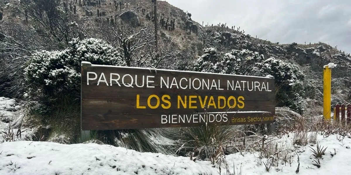Levantan pico y placa en la vía Murillo-Manizales y refuerzan llamado a proteger Los Nevados 1