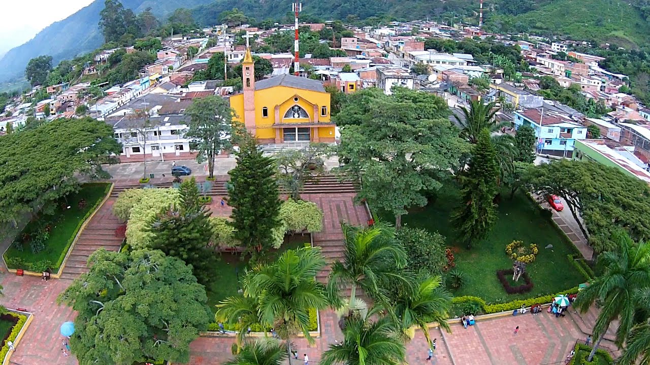 Planadas blinda su cosecha cafetera: El sur del Tolima se reporta como territorio seguro para el tránsito rural 1