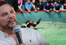 “La prohibición llega en 2027, pero el cambio debe empezar desde ya”: secretario de Cultura sobre actividades con animales 16