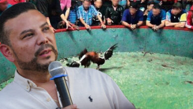“La prohibición llega en 2027, pero el cambio debe empezar desde ya”: secretario de Cultura sobre actividades con animales 5