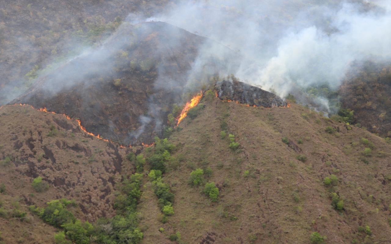 “Están perdiendo todo”: más de 36 incendios mantienen en alerta al Tolima y piden ayuda para las comunidades afectadas 10