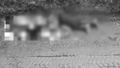 Autoridades investigan hallazgo de una persona sin vida en zona rural del Líbano 3