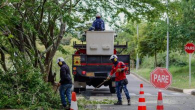 Con modernización de luminarias y podas, Alcaldía mejora la seguridad en el sector de La Samaria 10