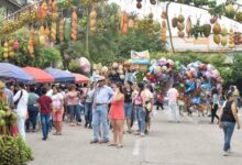 Guamo destinará cerca de $1.700 millones para sus festividades de San Juan y San Pedro 16