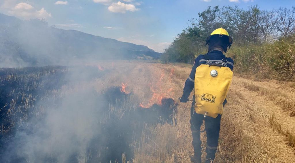 Por temor a los incendios, Alpujarra expide decreto que prohíbe las quemas 1