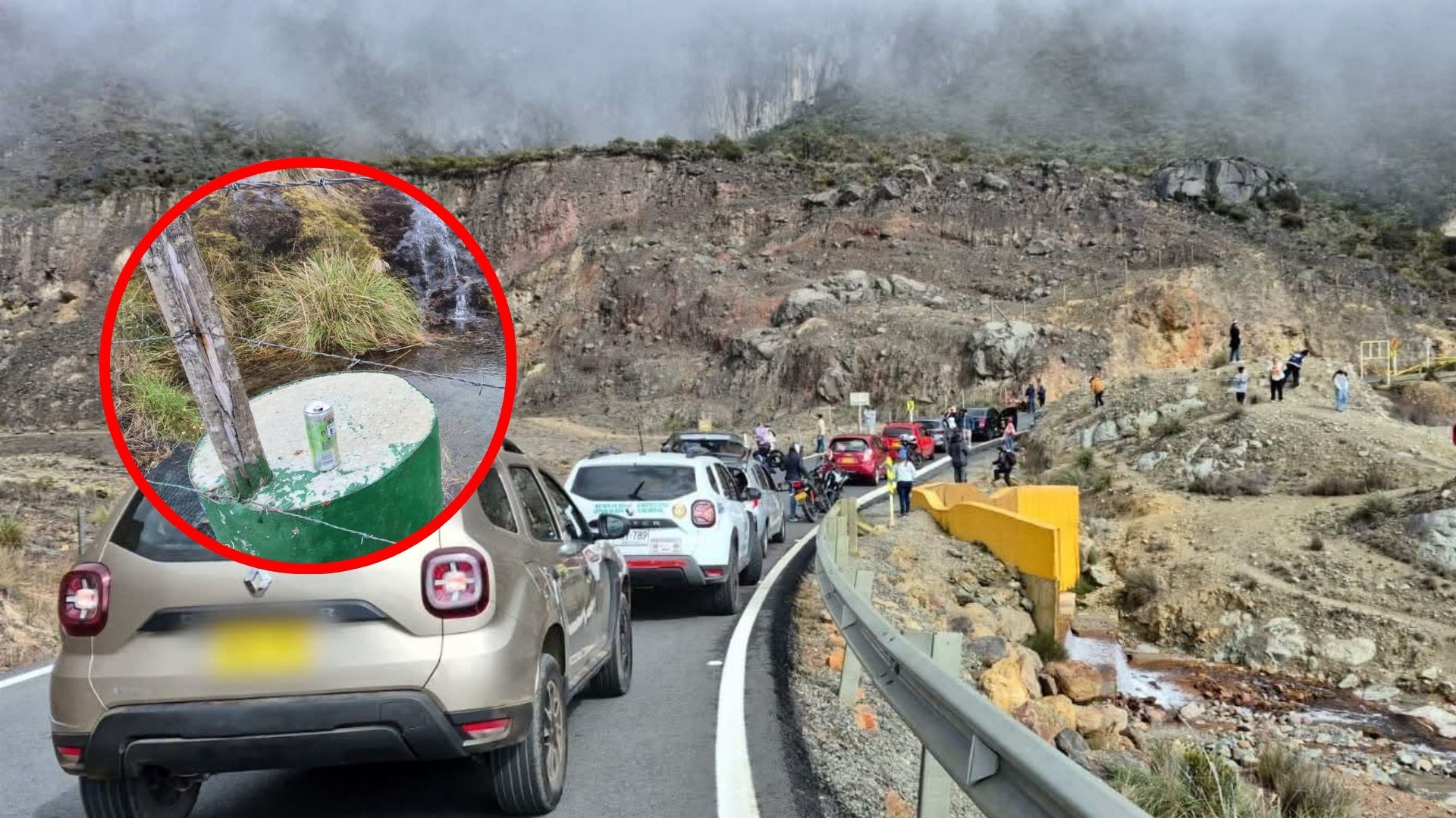 Alerta en el Nevado del Ruiz: Basura, animales muertos y frailejones destruidos por turismo masivo 1
