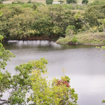 Cortolima fortalece abastecimiento de agua en resguardos indígenas con reservorios 6