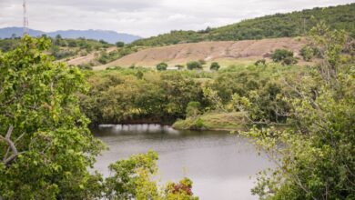 tolima