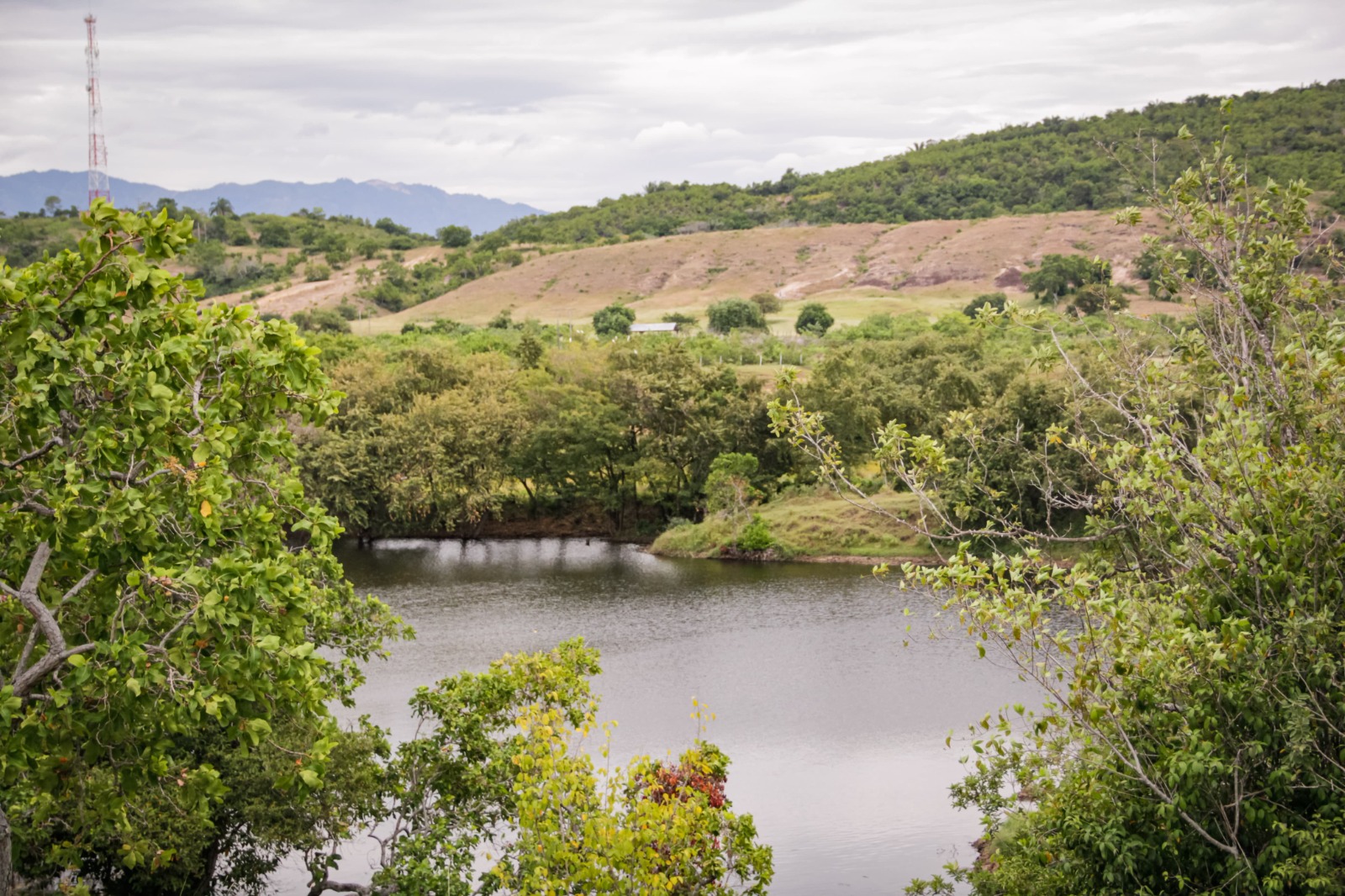 tolima
