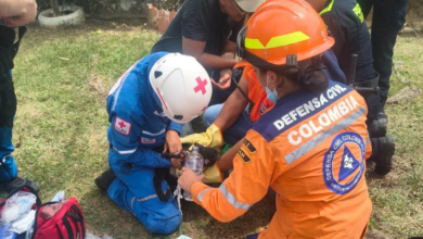 Voraz incendio en la vereda Carrizales de Ibagué deja varios animales heridos 2