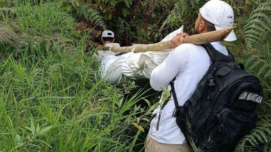 Tras 16 años de incertidumbre, hallan cinco cuerpos de desaparecidos en alta montaña del Tolima 4