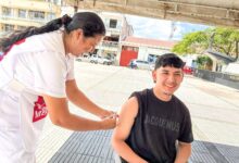 Alerta por fiebre amarilla y dengue en el Tolima 17