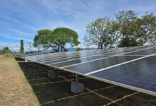 EGETSA reafirma su compromiso con la transición energética durante inauguración de proyecto solar en Piedras 16