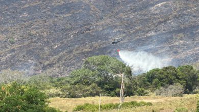 Cerca de 120 hectáreas de capa vegetal se han consumido en el incendio forestal del Alto de Gualanday 6