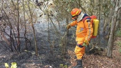 "Tolima en llamas": Gobernación lanza SOS al Gobierno Nacional tras superar las 966 hectáreas arrasadas por incendios forestales 10
