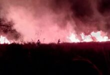 Investigan si incendio forestal en San Luis fue provocado; dos focos simultáneos amenazaron viviendas 18