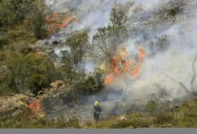 emergencias