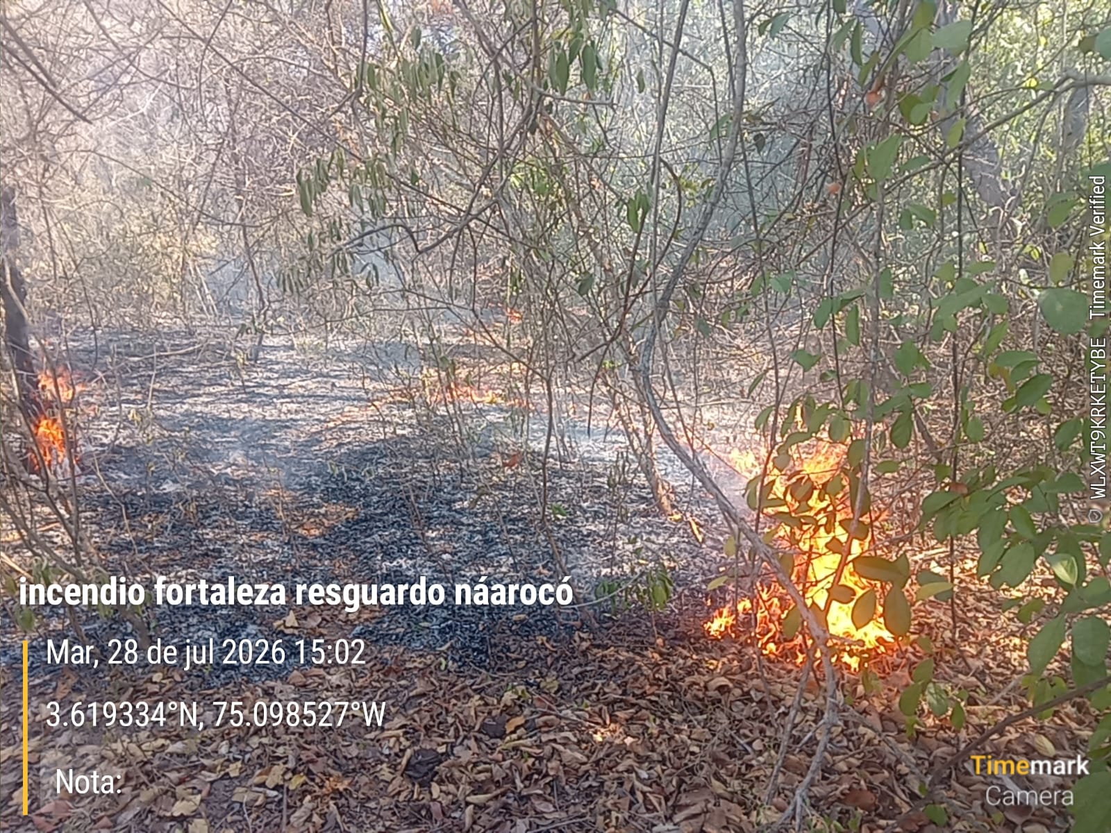Incendios forestales mantienen en alerta a Natagaima durante temporada seca 1