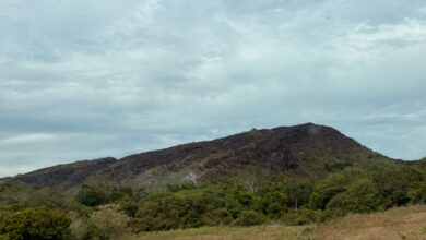 Tolima en máxima alerta por altas temperaturas: autoridades refuerzan acciones para prevenir incendios forestales 3