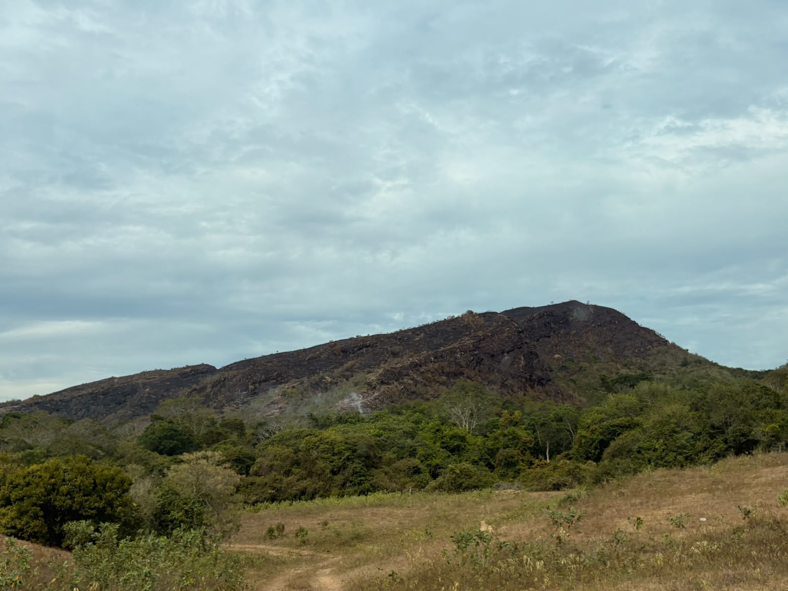 Tolima en máxima alerta por altas temperaturas: autoridades refuerzan acciones para prevenir incendios forestales 1