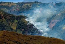 “Todos debemos ponernos la camiseta de la prevención”: Tolima refuerza estrategia ante riesgo de incendios forestales 12