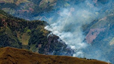 “Todos debemos ponernos la camiseta de la prevención”: Tolima refuerza estrategia ante riesgo de incendios forestales 6