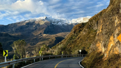 “El pico y placa sigue, pero falta definir quién lo firma”: secretaria de Ambiente del Tolima advierte sobre desorden en la vía Murillo-Manizales 15