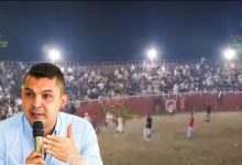 ”Las corridas de toros no son ni cultura ni valentía”: secretario del Interior del Tolima 13