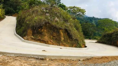 Cierre total en vía del sur del Tolima por obras de placa huella: conozca las fechas y horarios 3