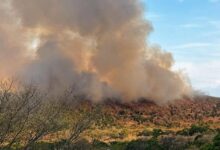 En Ortega los devastadores incendios no dan tregua. Angustioso llamado de la gobernadora y el alcalde 15