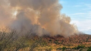 En Ortega los devastadores incendios no dan tregua. Angustioso llamado de la gobernadora y el alcalde 5