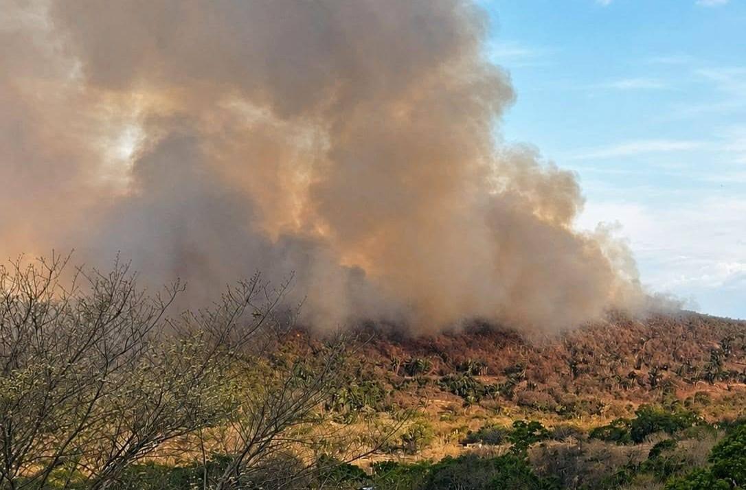 En Ortega los devastadores incendios no dan tregua. Angustioso llamado de la gobernadora y el alcalde 1